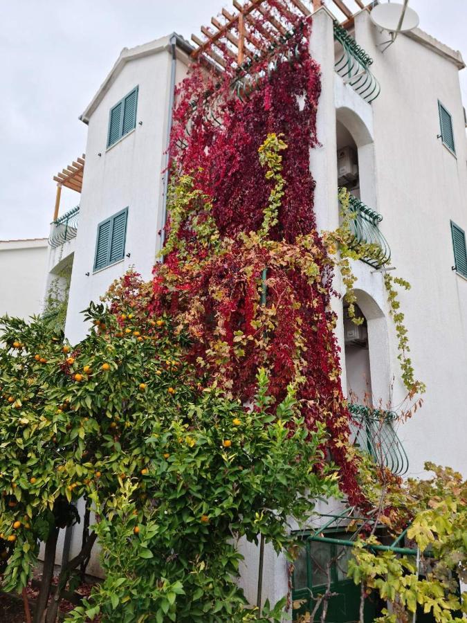 Apartments Nada Водице Екстериор снимка