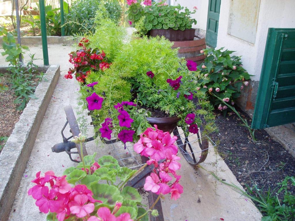 Apartments Nada Водице Екстериор снимка